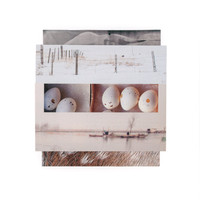 The Hatchery